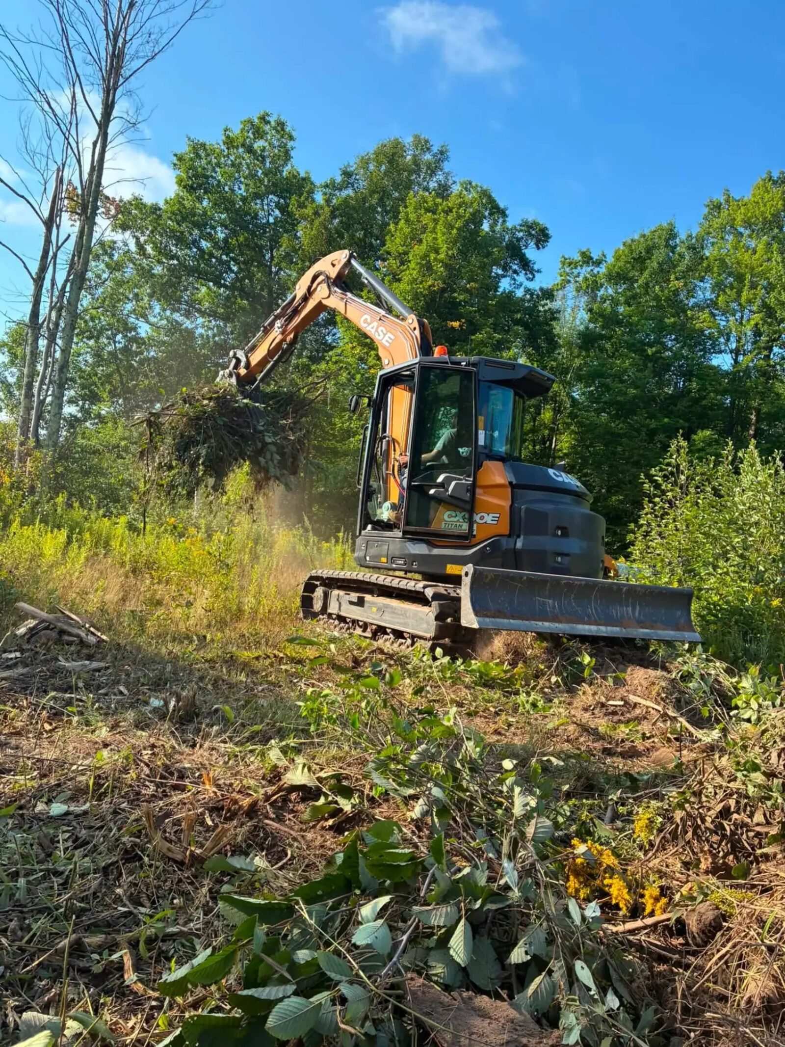 Brush & Timber Clearing — Land Clearing project by HCR Land & Excavating